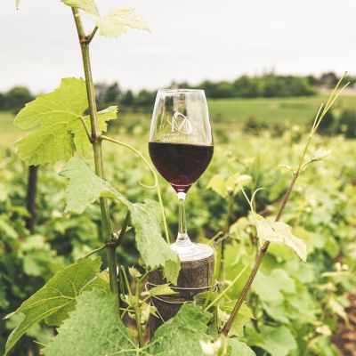 Wine Experiences
